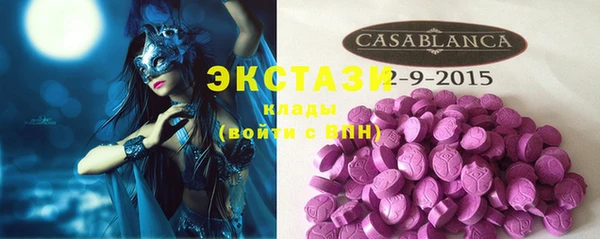 индика Данков