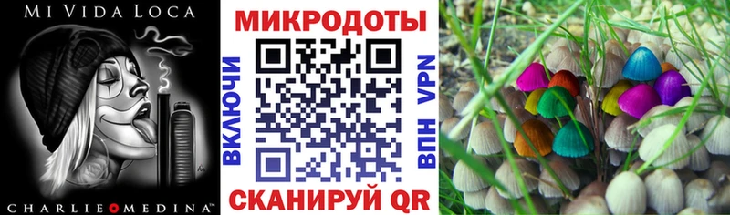 цены наркотик  Кириши  kraken зеркало  Псилоцибиновые грибы MAGIC MUSHROOMS 