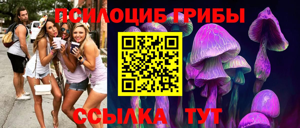 Псилоцибиновые грибы GOLDEN TEACHER Кириши